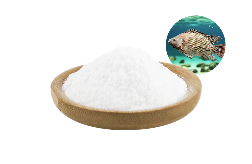 Fish Skin Collagen Peptide